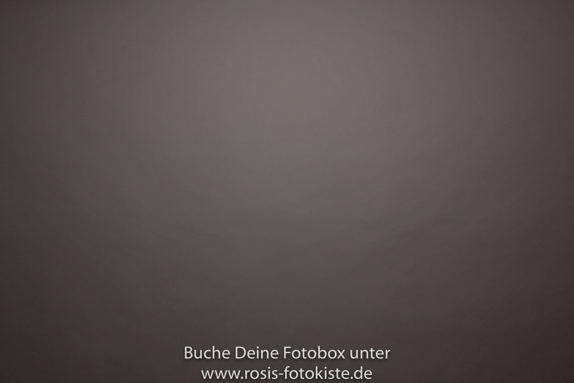 hellgraue Studioleinwand als Hintergrund für die Fotobox